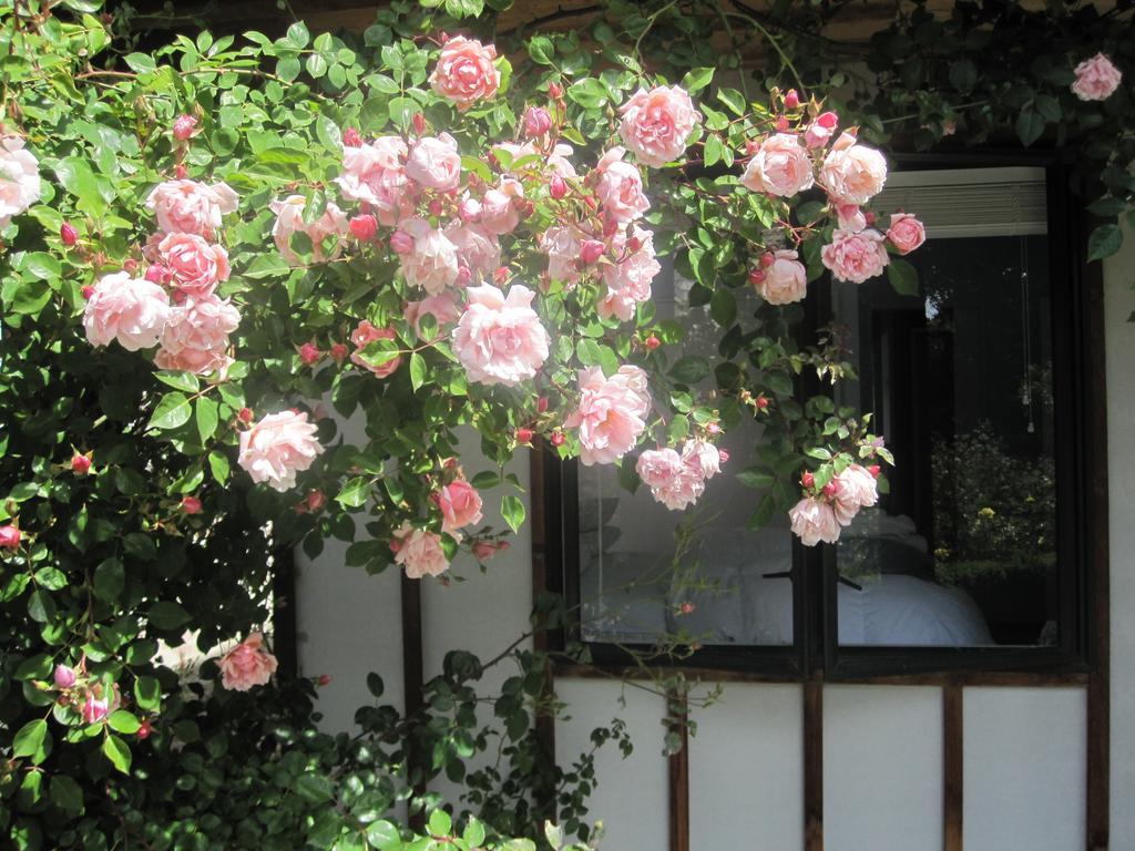 Rose Cottage At The Elms Christchurch Pokój zdjęcie
